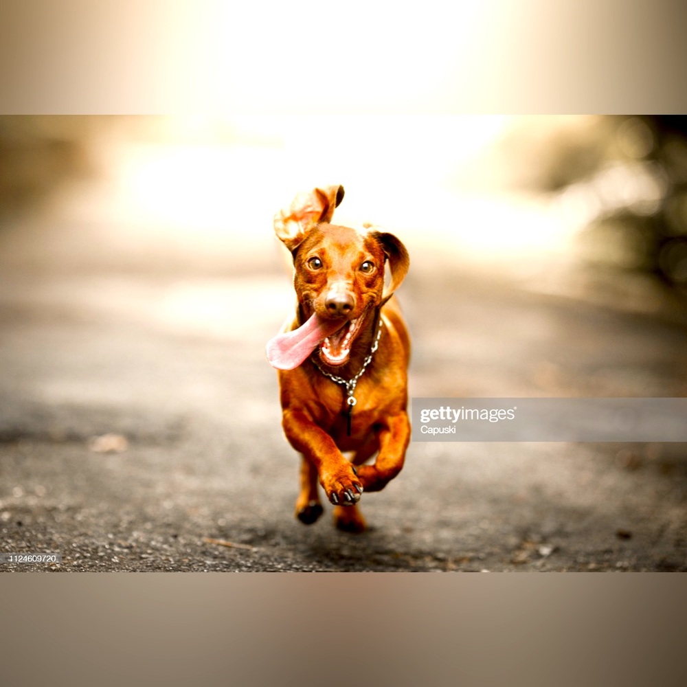 Meet your Posher, Ricky